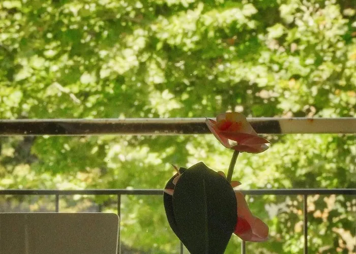 Lejlighed Frgk Stanislas Terrace, Ac & Ultra Fast Wi-fi *