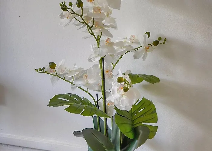 Lejlighed Frgk Stanislas Terrace, Ac & Ultra Fast Wi-fi Cannes